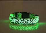 LED Dog Collar Light Flash Leopard Collar Puppy Night Safety Pet Dog Collars Products For Dogs Collar Colorful Flash Light Neck