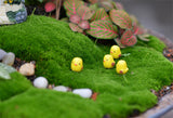 XBJ055  Yellow chick decoration moss micro landscape landscaping cartoon mini potted  Desktop Resin Accessories