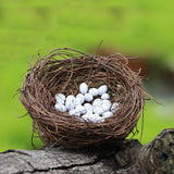 XBJ037 Mini Egg Resin Quail Eggs 12pcs Pigeon Eggs Simulation Mini Bird Egg Dollhouse Moss Micro Landscape Ornaments