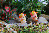 XBJ107 Mini 6PCS piggy decor supplies moss micro landscape deco  Garden deco Creative handicrafts