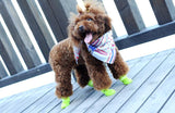 CW008 Waterproof Dog's Shoes, 4pcs/set Colorful Pet Shoes, Lovely Portable Pet Boots Anti Slip Skid Rain Shoes Size S M L