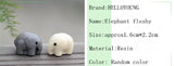 XBJ141 Mini 5pcs Elephant fleshy decoration supplies moss micro landscape deco  Garden deco Creative handicrafts