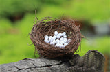 XBJ037 Mini Egg Resin Quail Eggs 12pcs Pigeon Eggs Simulation Mini Bird Egg Dollhouse Moss Micro Landscape Ornaments
