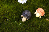 XBJ015 Miniature Decoration 2 pcs Cartoon Crafts Garden Tortoise Ornament Resin Decor Terrarium Figurines Micro Landscape