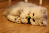 CW026 Rainbow Color Ball Pet Dog Cat Puppy Chew Toys Funny Durable Bite Balls Molar Tool Interactive Training