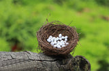XBJ037 Mini Egg Resin Quail Eggs 12pcs Pigeon Eggs Simulation Mini Bird Egg Dollhouse Moss Micro Landscape Ornaments