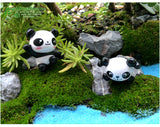 2pcs/lot Moss micro landscape decoration DIY material assembly landscaping material decoration raccoon little panda
