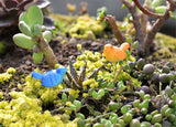 XBJ060 Cute Miniature Bird Resin 4PCS Magpie Simulation Mini Pica 3 * 1.6cm pica Dollhouse Moss Micro Landscape