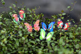 XBJ151 Mini 8pcs Simulation butterfly decoration supplies moss micro landscape deco  Garden deco Creative handicrafts