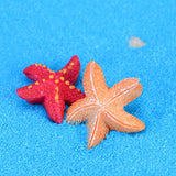 XBJ167 Mini 8pcs Small starfish decoration supplies moss micro landscape deco  Garden deco Creative handicrafts