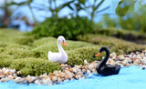 XBJ053 Mini Artificial Swan 2Pcs moss micro landscape Decoration simulation cartoon black and white swan pvc dolls hand office e