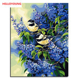 HELLOYOUNG DIY Handpainted Oil Painting Two birds Digital Painting by numbers oil paintings chinese scroll paintings