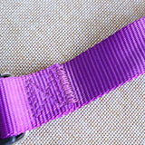 CW019 New Fashion Nylon dog collars for small dogs Pet Cat Collar 4 Sizes 4 colors adjustable dog collar nylon wholesale