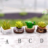 XBJ059 Craft Mini Simulation Resin Succulents Models Garden Miniatures Potted Plants Ornament Home Decor