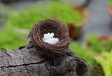XBJ037 Mini Egg Resin Quail Eggs 12pcs Pigeon Eggs Simulation Mini Bird Egg Dollhouse Moss Micro Landscape Ornaments