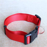 CW019 New Fashion Nylon dog collars for small dogs Pet Cat Collar 4 Sizes 4 colors adjustable dog collar nylon wholesale