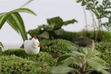 XBJ160 Mini 5pcs White little cock decoration supplies moss micro landscape deco  Garden deco Creative handicrafts