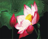 Wildflowers are in full bloom Digital Painting DIY Handpainted Oil Painting by numbers oil paintings chinese scroll paintings