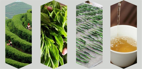 TemuTea 100g Top grade green Tea Taiping Houkui new fresh organic nature matcha tea
