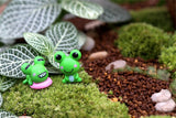 XBJ049 Mini Artificial Frog 2Pcs  Decoration Accessories Fairy Garden Miniatures DIY Craft Micro Landscaping Decor for Garden