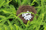 XBJ037 Mini Egg Resin Quail Eggs 12pcs Pigeon Eggs Simulation Mini Bird Egg Dollhouse Moss Micro Landscape Ornaments