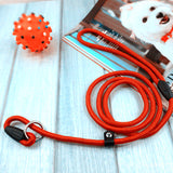 Pet dogs lead competitio Game Training Walk Small Medium Large Pet Dog Leash ADJUSTABLE Traction Collar Rope Chain Harness Nylon