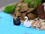 XBJ075 10pcs Black and white feather Swan Bottle decoration supplies moss micro landscape deco  Garden deco Creative handicrafts