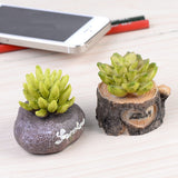 XBJ059 Craft Mini Simulation Resin Succulents Models Garden Miniatures Potted Plants Ornament Home Decor