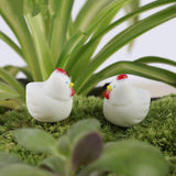 XBJ160 Mini 5pcs White little cock decoration supplies moss micro landscape deco  Garden deco Creative handicrafts