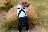Western Style Men's Suit Bow Tie Small Pet Dog Clothes For Small Dogs Boy Puppy Apparel Jumpsuit Cheap Pet Clothes Drop Shipping