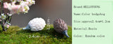 XBJ135 Mini 8pcs Color hedgehog decoration supplies moss micro landscape deco  Garden deco Creative handicrafts
