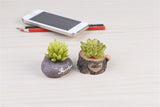 XBJ059 Craft Mini Simulation Resin Succulents Models Garden Miniatures Potted Plants Ornament Home Decor