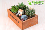 1pc Zakka groceries vintage wooden box  finishing box fleshy flower pot fleshy wooden box