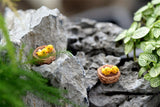XBJ086 Mini 4pcs Oriole bird Bottle decoration supplies moss micro landscape deco  Garden deco Creative handicrafts