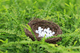XBJ037 Mini Egg Resin Quail Eggs 12pcs Pigeon Eggs Simulation Mini Bird Egg Dollhouse Moss Micro Landscape Ornaments