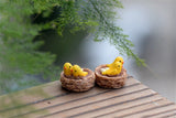 XBJ086 Mini 4pcs Oriole bird Bottle decoration supplies moss micro landscape deco  Garden deco Creative handicrafts