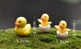 XBJ018 Mini Decoration 2 pcs Crafts Garden Duck Ornament 1 Adult Duck and1 Hatching Duck Terrarium Figurines Micro Landscape
