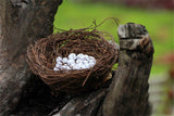 XBJ037 Mini Egg Resin Quail Eggs 12pcs Pigeon Eggs Simulation Mini Bird Egg Dollhouse Moss Micro Landscape Ornaments