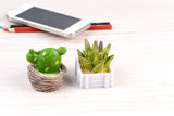 XBJ059 Craft Mini Simulation Resin Succulents Models Garden Miniatures Potted Plants Ornament Home Decor