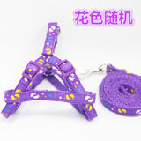 Adjustable Breathable Nylon Dog Harness and leash set Pet Vest Rope Dog Chest Strap Leash Set Collar Leads Harness for small dog