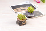 XBJ059 Craft Mini Simulation Resin Succulents Models Garden Miniatures Potted Plants Ornament Home Decor