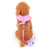 Cute Angel Pet Dog Leashes and Collars Set Puppy Leads for Small Dogs Cats Designer Wing Adjustable Dog Harness Pet Accessories