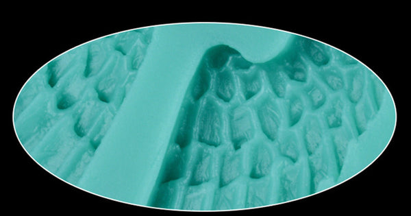 Silicone Cake Mold Birthday Cake Decorating Angel Wings Bakeware Fondant Baking Chocolate Soap Mold
