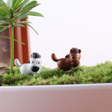 XBJ109 Mini 6PCS pony decor supplies moss micro landscape deco  Garden deco Creative handicrafts