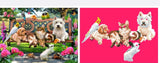 DIY Partial 5D Diamond Embroider Animal paradise Round Diamond Painting Cross Stitch Kits Diamond Mosaic Home Decoration