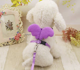 Cute Angel Pet Dog Leashes and Collars Set Puppy Leads for Small Dogs Cats Designer Wing Adjustable Dog Harness Pet Accessories