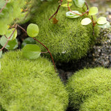 XBJ009 Miniature 1pc Stone Moss Garden Craft Fairy Bonsai Plant Decor Marimo Stone Artificial Moss Foam Stone Green Plant