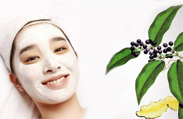 Pure Nature Organic Traditional Herbs Poria Cocos Fuling Tuckahoe ExtractPowder