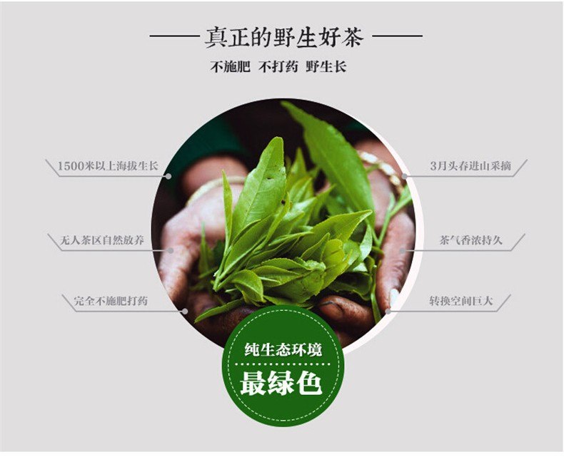 TemuTea Spring green tea raw pu-erh tea pu erh tea 200g yunnan Sheng Tea Green Food