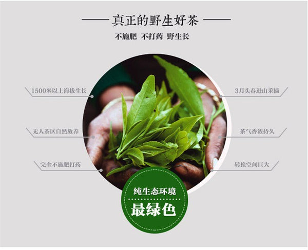 TemuTea Spring green tea raw pu-erh tea pu erh tea 200g yunnan Sheng Tea Green Food